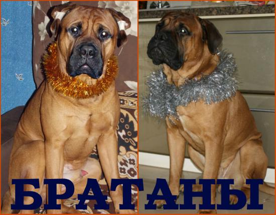 новый коллаж.jpg