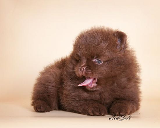getImage (1).jpg