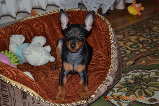 DSC_1024.JPG