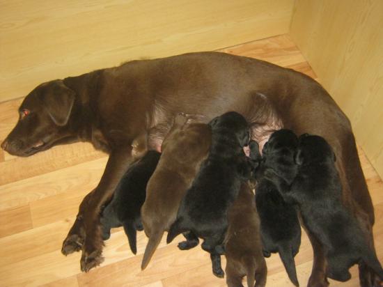 фото 066.jpg