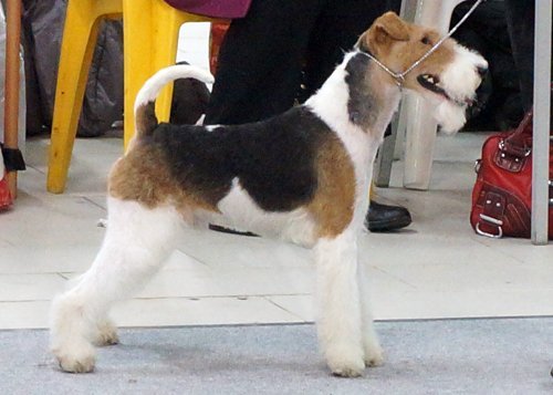 yDSsD2lJ.jpg