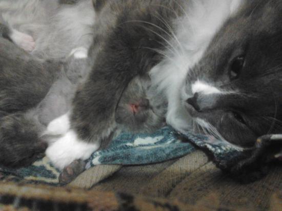 lCA8OAoZ5Yo.jpg