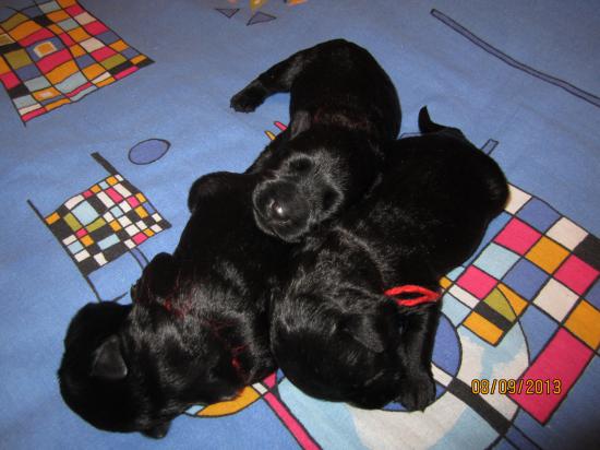 IMG_4633.JPG