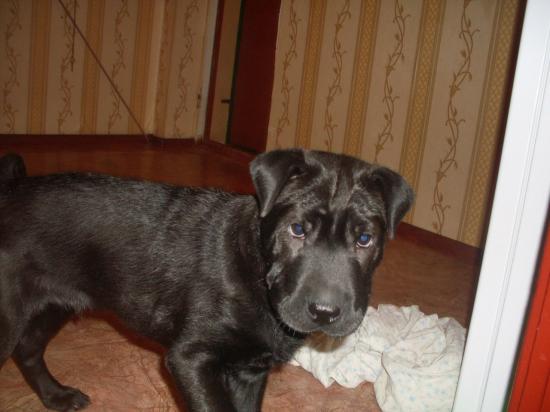 1UQprSrS5-s.jpg
