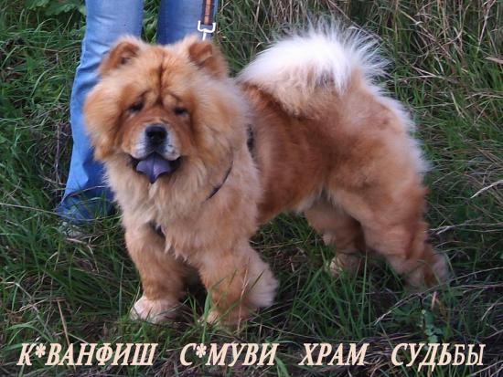 миха 1.jpg