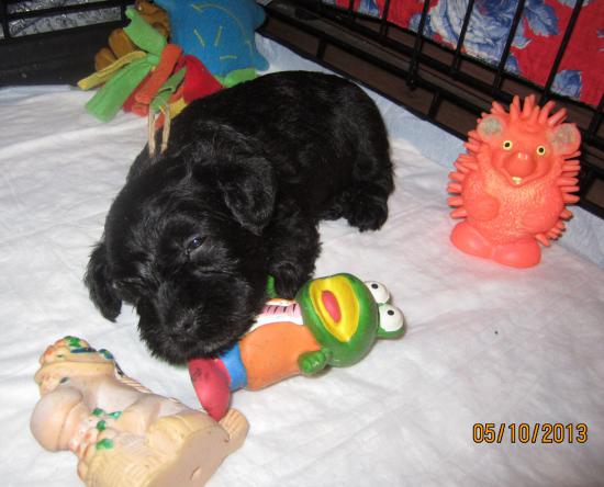IMG_4834.JPG