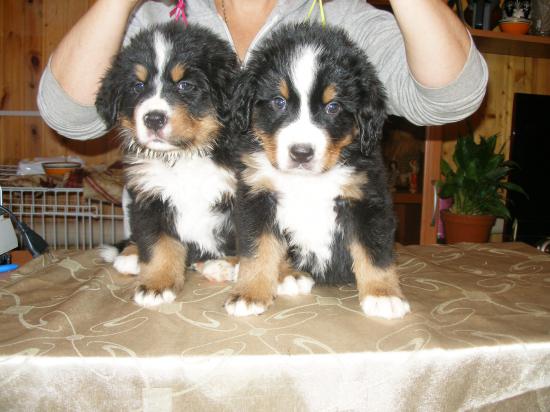 PA224025.JPG