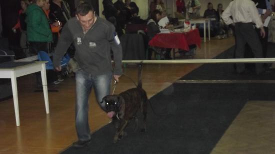 DSCF4375.JPG