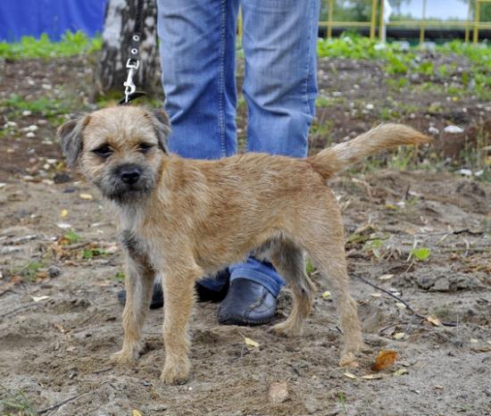 2012 08 25 Леший.jpg
