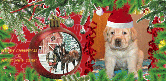 251213.gif