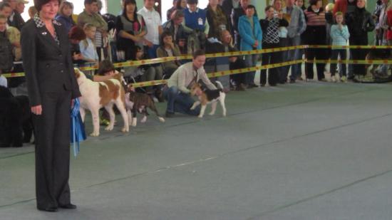 на выставке 24.09.11.jpg