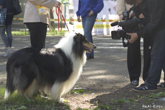 _MG_6730 copy.jpg