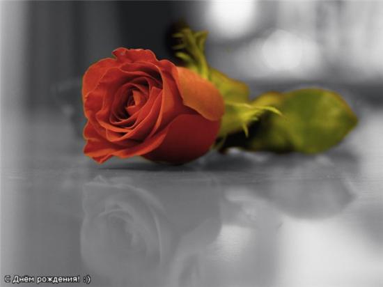 4c0db019e101.jpg