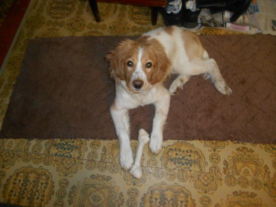 DSCN0234.jpg