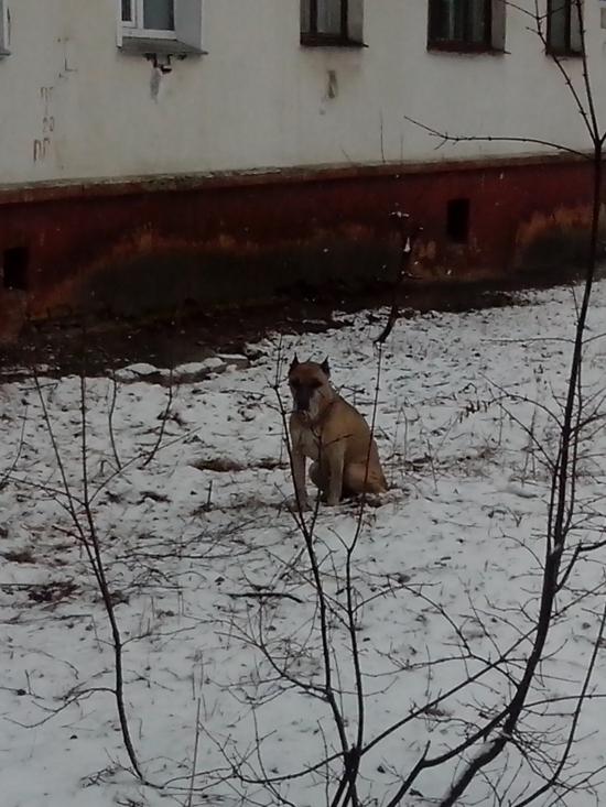 най амстафф 7 апрIMG_20140407_084947.jpg