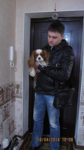 хозяин кавалaRtTT0bX7aU.jpg