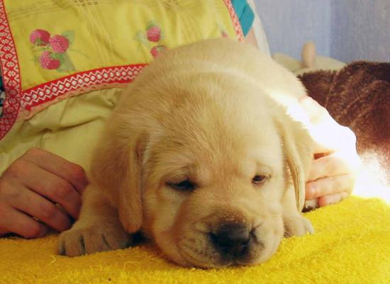 P5120008.JPG