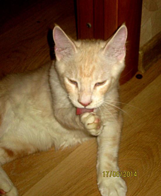 bulat2-4mon.jpg