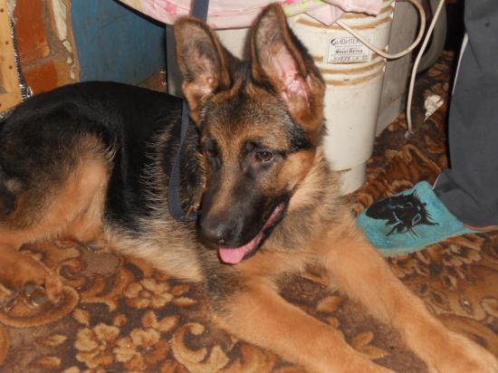 DSCN5987.JPG