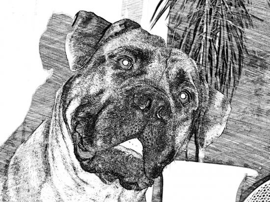 PS_20140809104823.jpeg