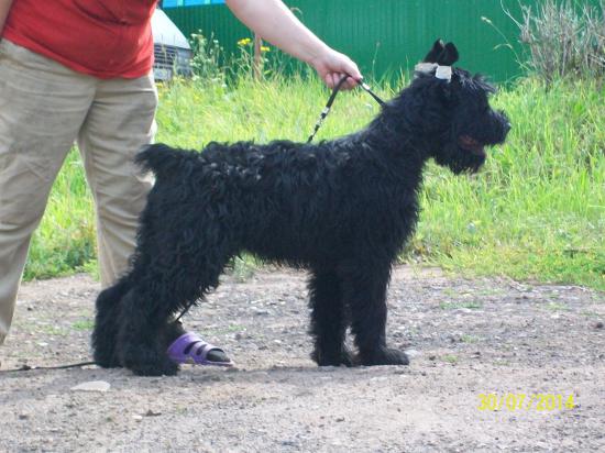 100_2355.JPG