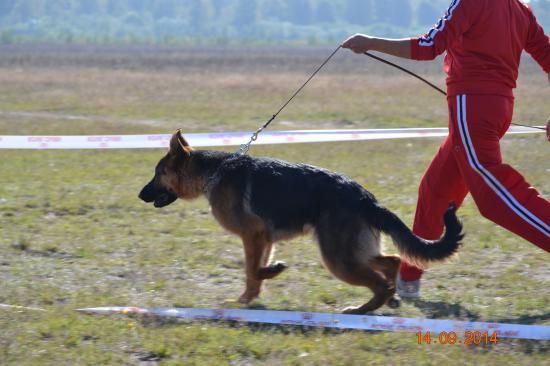 DSC_3844.JPG