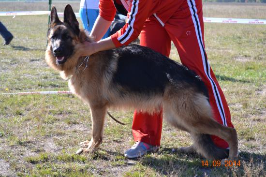 DSC_3886.JPG