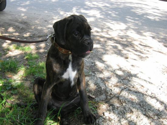 Калипсо
