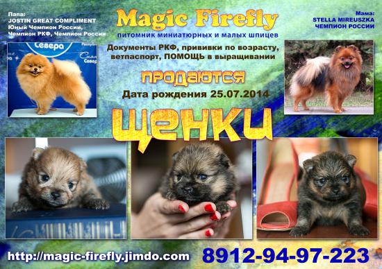 реклама-2014.jpg