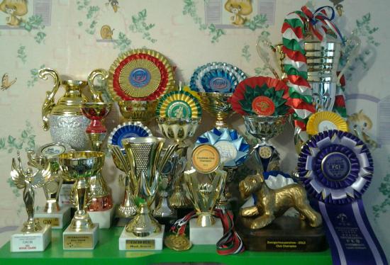 Итоги 2012 года: STAR`S OF WHITE NIGHT YANTAR - Junior Champion Of Russia, CH. Of Russia, Club CH. Of Russia, Grand CH. Of Russia, CH. Of Latvia, CH. Of Belorussia, CH. Of Lithuania, CH. Of Romania, Baltic CH, CH. Estonia
