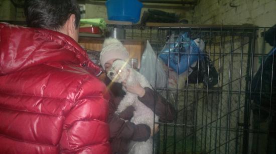 наш хоз белого песqqKi7P09tgE.jpg