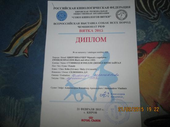 Наш первый диплом