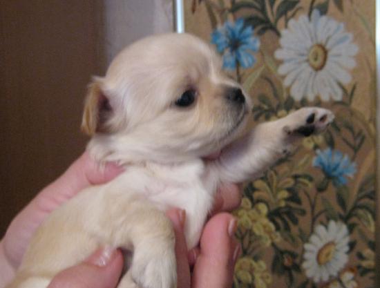IMG_8924.JPG
