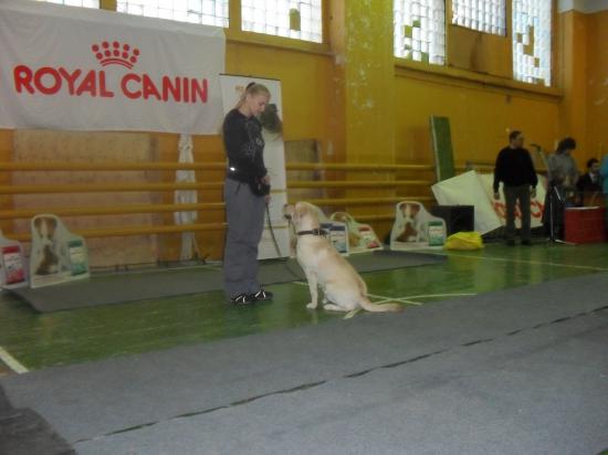 SDC13460.JPG