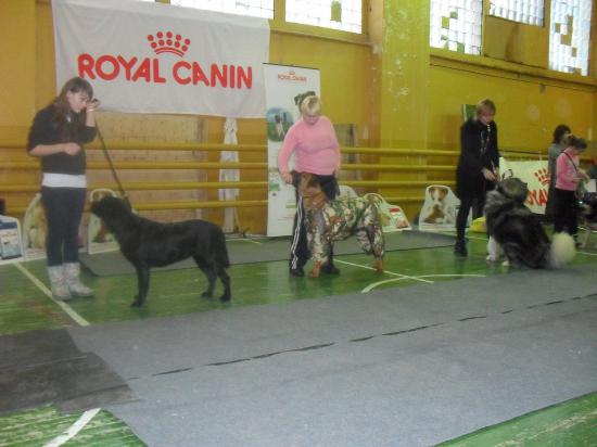 SDC13468.JPG