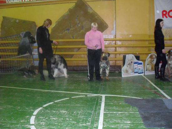 SDC13477.JPG