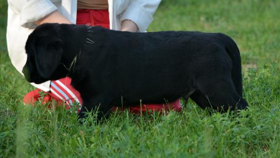 DSC_3462.JPG