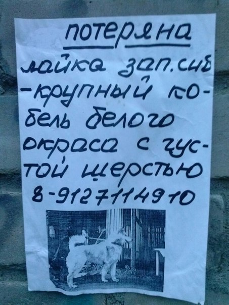 пот лайка бел кобельIq8b7tAUb9o.jpg